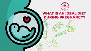 What Is An Ideal Diet During Pregnancy?