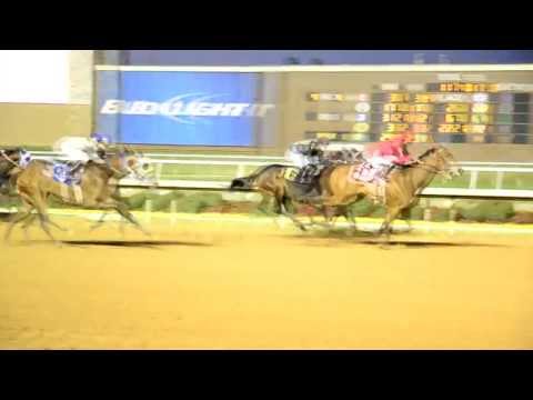 Oltre Video