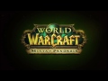 Blizzard press tour