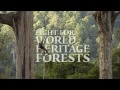 Fight for World Heritage