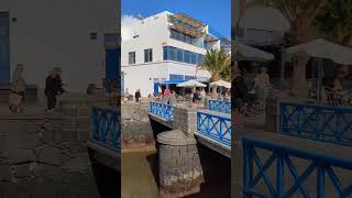 Beware The Pigeons Of Arrecife Lanzarote #4Kwalk #Travel #Shorts