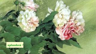34 Nessun Dorma 34 Giacomo Puccini Turandot Luciano Pavarotti 34 Nessun Dorma 34 Giacomo Puccini Turandot Luciano Pavarotti