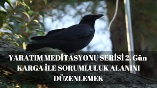 Yaratim Medi̇tasyonu 2 Gün Karga İle Sorumluluk Alanini Düzenlemek