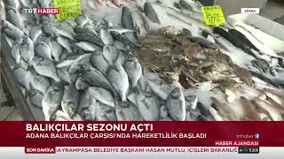 Akdeni̇zde Av Yasaği Kalkti
