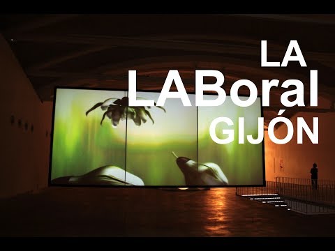 Vidéo sur Labour Centre of the Labour