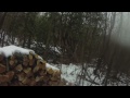 chasse