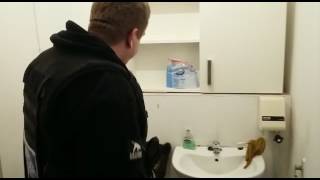 Sniffer Dog Finds Hidden Illegal Tobacco During Dudley Shop Raids.