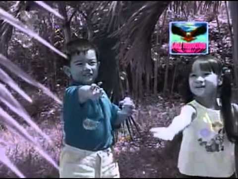 HOA BANG LANGjimmy nguyen