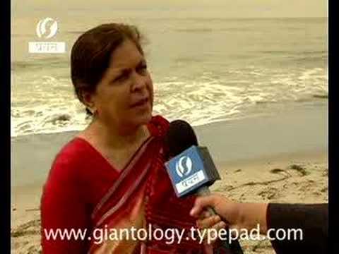 Giant Creature Uncovered by Tsunami
