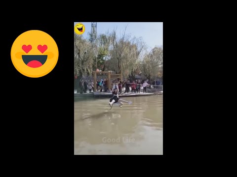 Tik tok 2021 # 90 - những video hài, cười ra nước mắt hay nhất mọi thời đại.