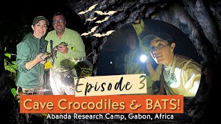 Exploring Caves In Gabon For Orange Cave Crocodiles And Bats