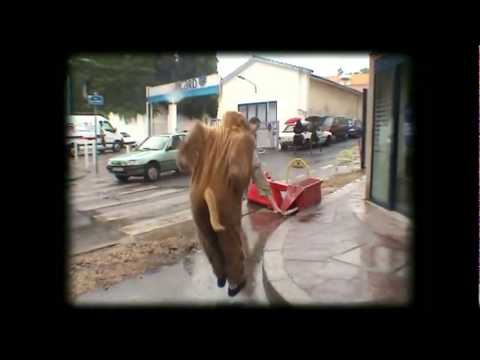 Funny and Best Real Life Trolls