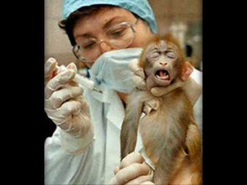 Alternatives to animal testing - Solutions. Alternatives to animal testing - Solutions. 5:54. An equal money system would fund all research necessary for 