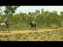 West Leichardt Cattle Station, Australian Travel Video Guide