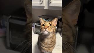 Tiny Sound From A Big Baby