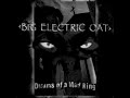 Big Electric Cat - Orchid dreaming