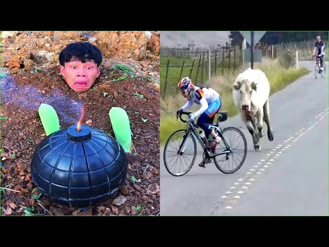 Best Funny Videos - Try to Not Laugh 😆😂🤣#135