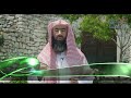 مشاهد