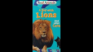 Kidvisions Real Animals A Day With Lions And Other Cats