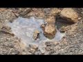 Video Sakhalin-2 Project_Erosion Control and Reinstatement techniques.wmv
