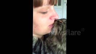 French kissing a cat
