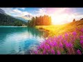 Beautiful Relaxing Music: Romantic Music, Piano Music, Violin Music, Cello Music, Sleep Music ★93