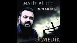 Halit bilgiç   Daye  2013