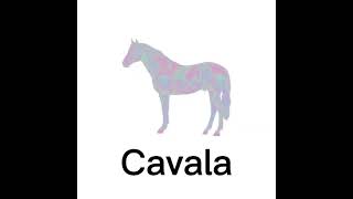 Cavalo Meme