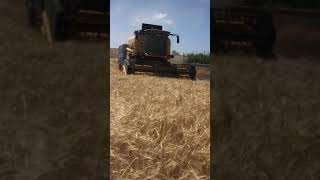 Biçerdöver Buğday Biçimi Köy Story Harman Zamanı Tarım Videoları İş Makinası Snap