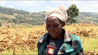 Funny Kipsigis Woman
