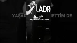 Taladro - İstemem Melek Falan.... #taladro #youtubeshorts #konser #turkish