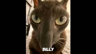 Is This The Strongest Character In Evil Larrys Multiverse?