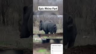 Epic Rhino Fart