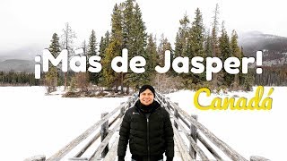 CASI ME CONGELO EN UN GLACIAR, JASPER, ALBERTA ︱CANADÁ 🇨🇦#3 ︱ De Viaje con Armando