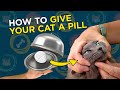 How To Give Your Cat A Pill - VetVid Episode 020