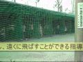 少年野球打撃理論の打撃フォームをバッティングセンターでチェック.wmv