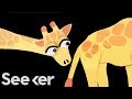 The Bizarre Way Male Giraffes Know it’s Sexy Time