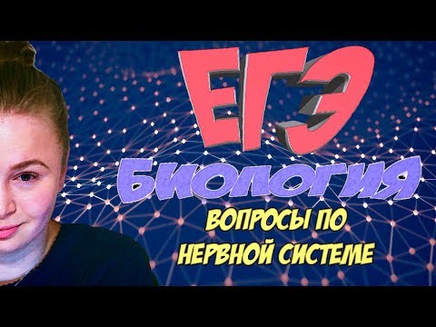 ЕГЭ биология 2018. Вопросы по нервной системе ЕГЭ биология 2018. Вопросы по нервной системе