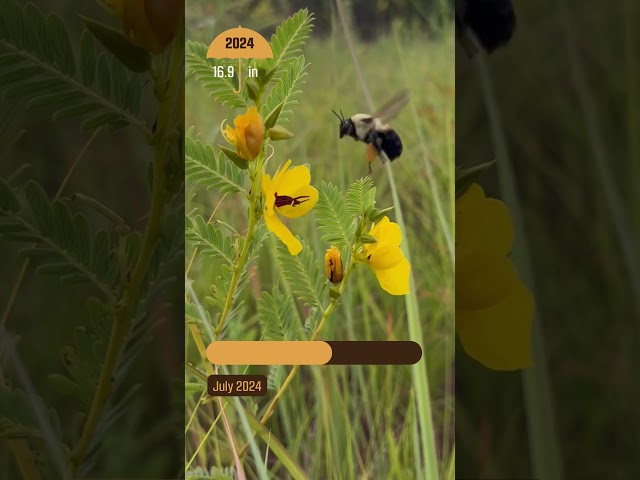 Watch Monitoring a Year's Growth on YouTube.