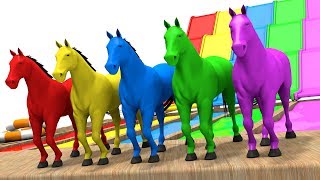 Learn Colors with Horse - Colors Learning Videos for Children - Animation for Kids