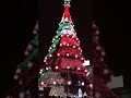 Video Харьковская Елка 2014 год