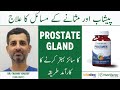 Prostate Gland And Urinary Problems- Prostate Size -Peshab Ke Masail Ka Ilaj- Nutrifactor Prostamen