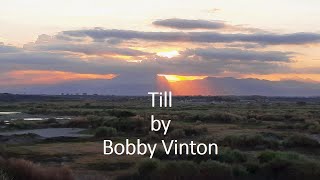 Watch Bobby Vinton Till video