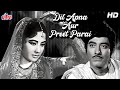 राज कुमार और मीणा कुमारी जीकी रोमांटिक हिंदी फिल्म | Dil Apna Aur Preet Parai | Raaj Kumar, Meena Ku
