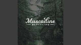 Muscadine Bloodline Depending On The Night