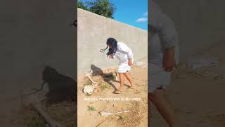 Volta Aqui Menininha
