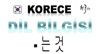 Korece Dil Bilgisi -는 것