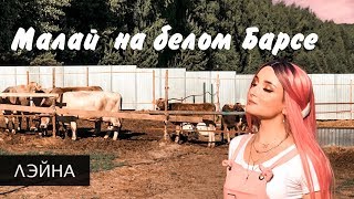 Лэйна - Малай На Белом Барсе