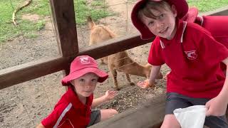 Peach Farm Excursion 2020