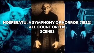 Nosferatu A Symphony Of Horror 1922 All Count Orlok Scenes